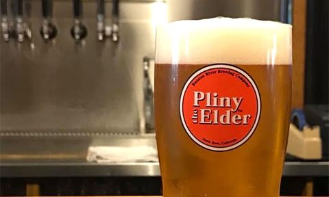 Pliny the elder