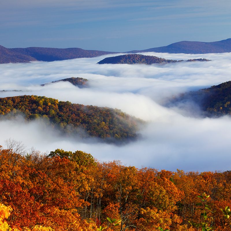 Shenandoah National Park