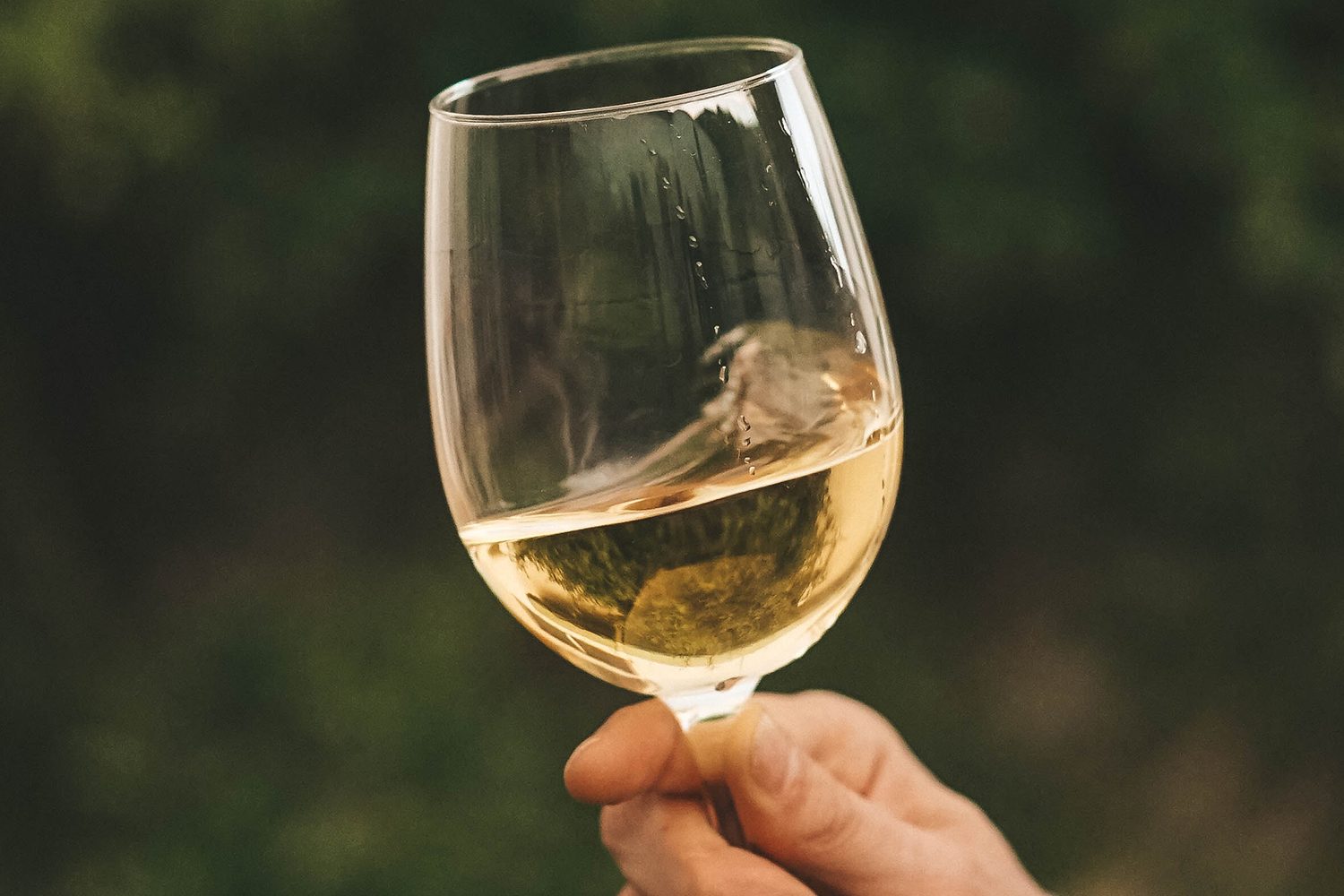 White wine glass tip