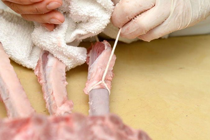 how to butcher pork crown roast 6 32