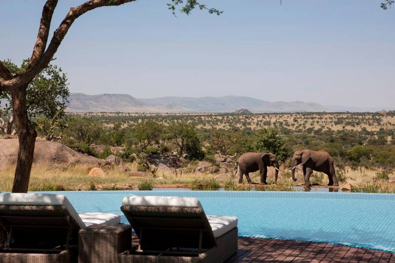 four seasons safari