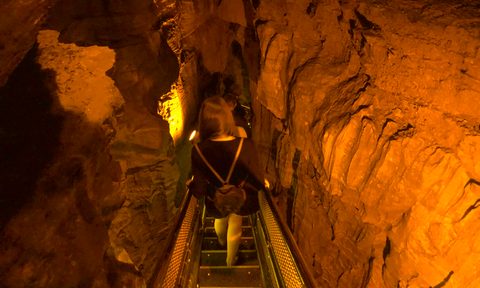 Explore Mammoth Cave