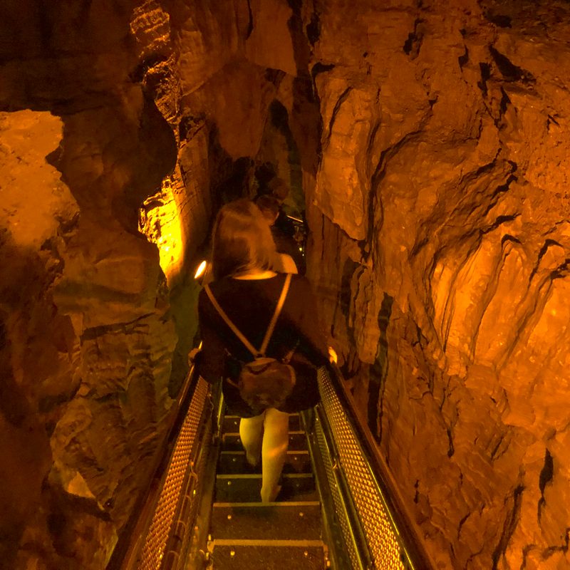 Explore Mammoth Cave