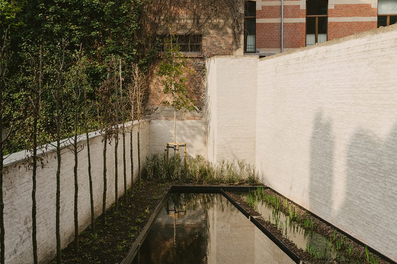 august antwerp