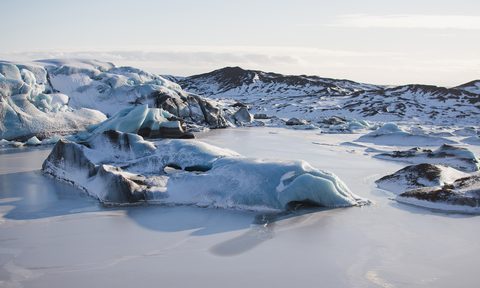 arctic