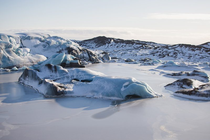 arctic