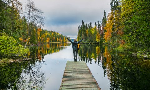 sound of lapland audio finland journey hossa national park in getty images
