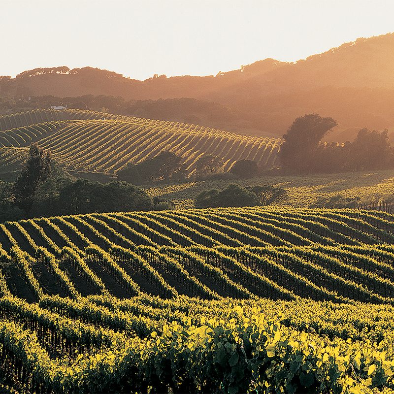 napa valley.