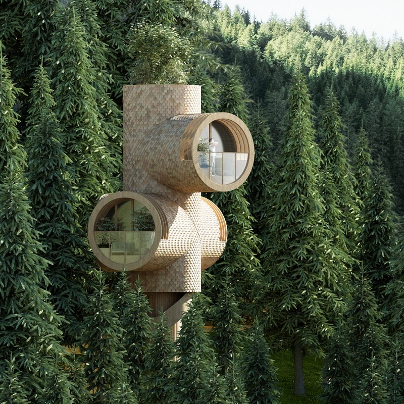 bambau bert treehouse studio precht x baumbau treehouses 6