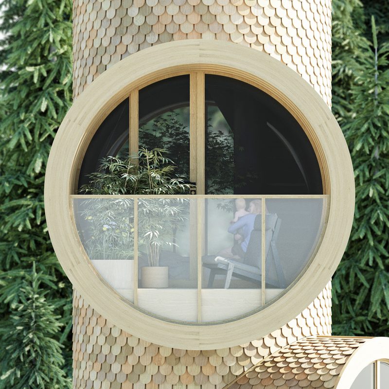 bambau bert treehouse studio precht x baumbau treehouses 8