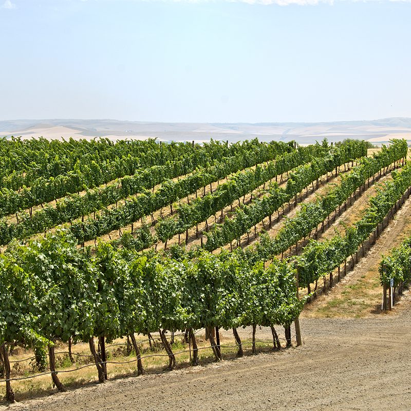 Walla Walla, Washington.