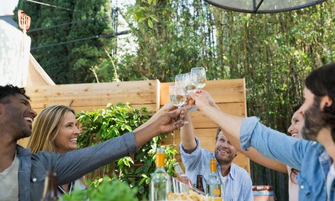 wine cheers friends