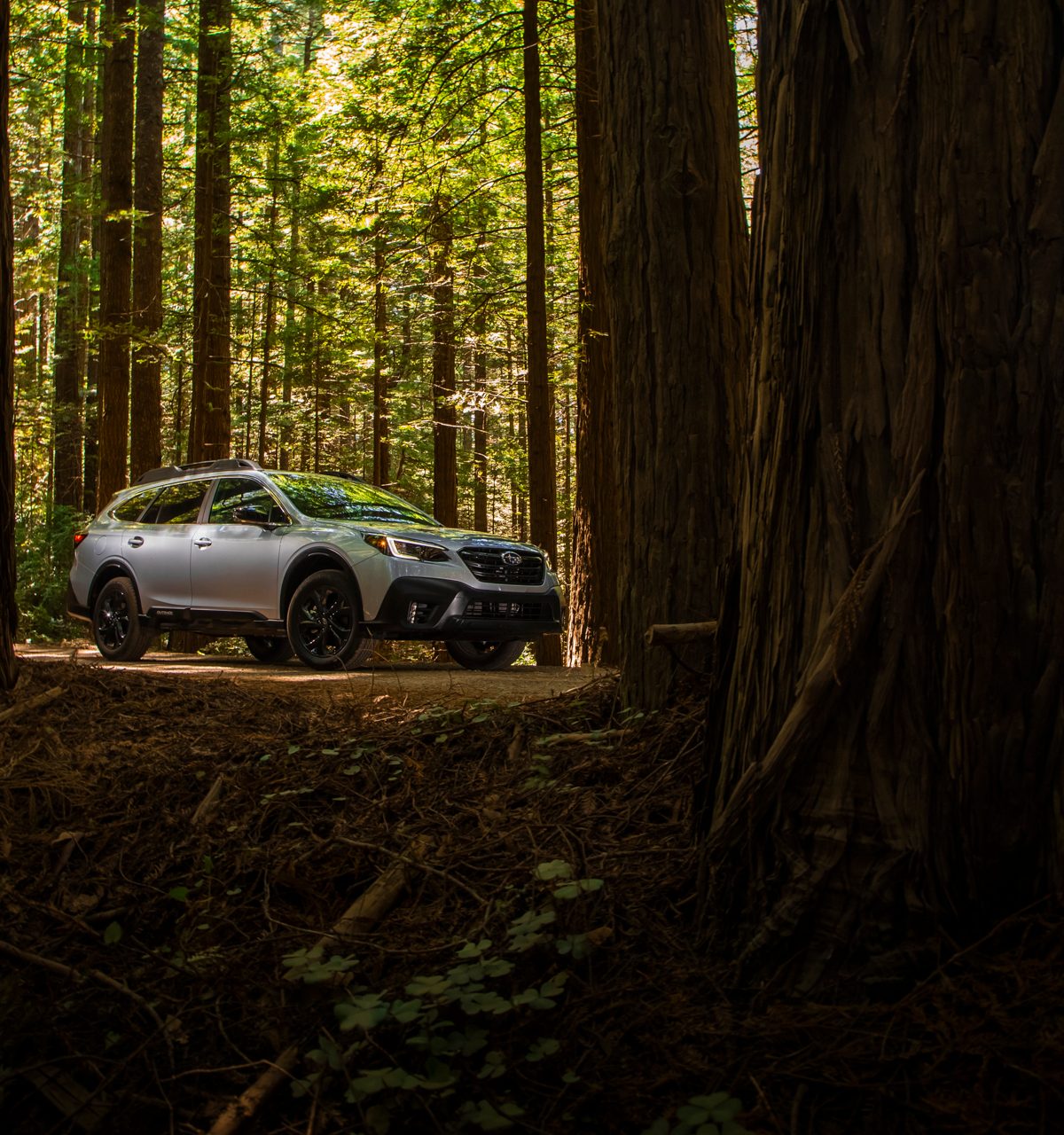2020 Subaru Outback Hands-on