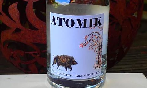 atomik vodka chernobyl