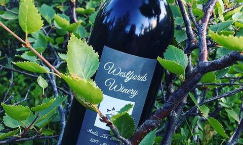 most interesting drinks in the world bilberry wine