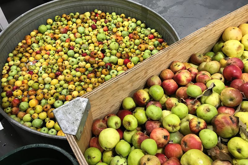 community cider apples