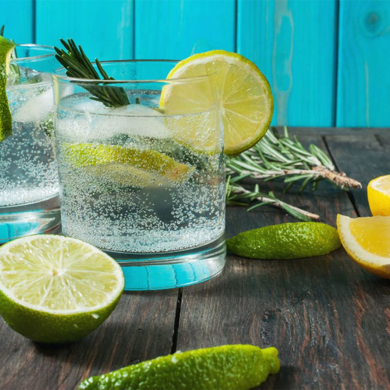 Gin and tonic with lemon and lime