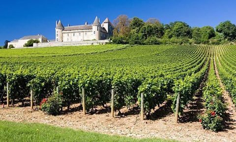 wine instagram
