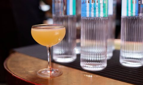 iichiko saiten cocktail