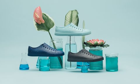 Native Shoes Jefferson Bloom Colors