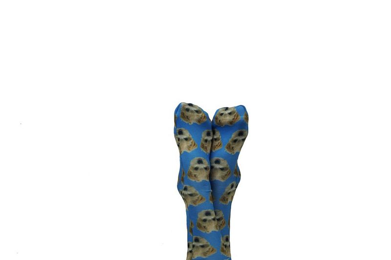 Serendipity Custom Pet Socks