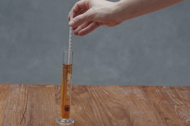 Spirits Network Science of Spirits