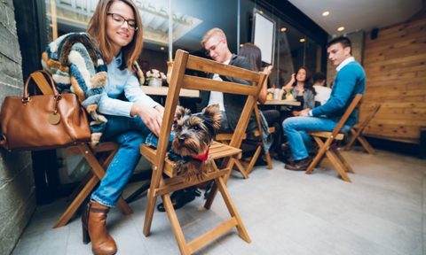 should bars be kid and dog friendly in bar table getty images