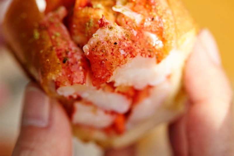 lobster roll close-up