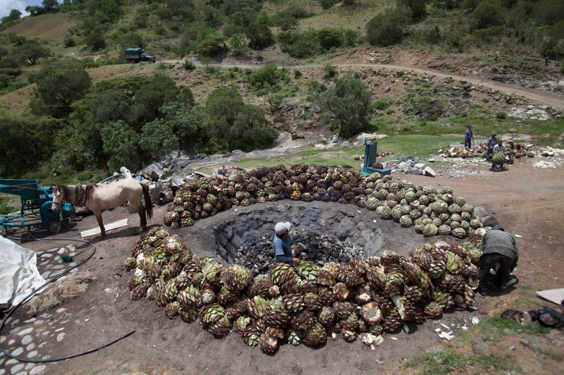 Mezcal Union