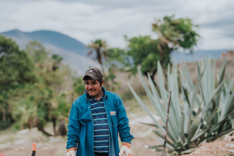 Mezcal Union