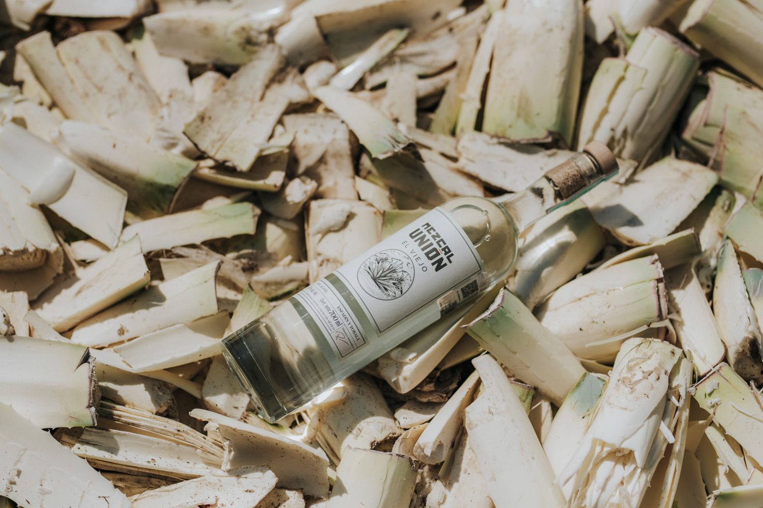 Mezcal Union