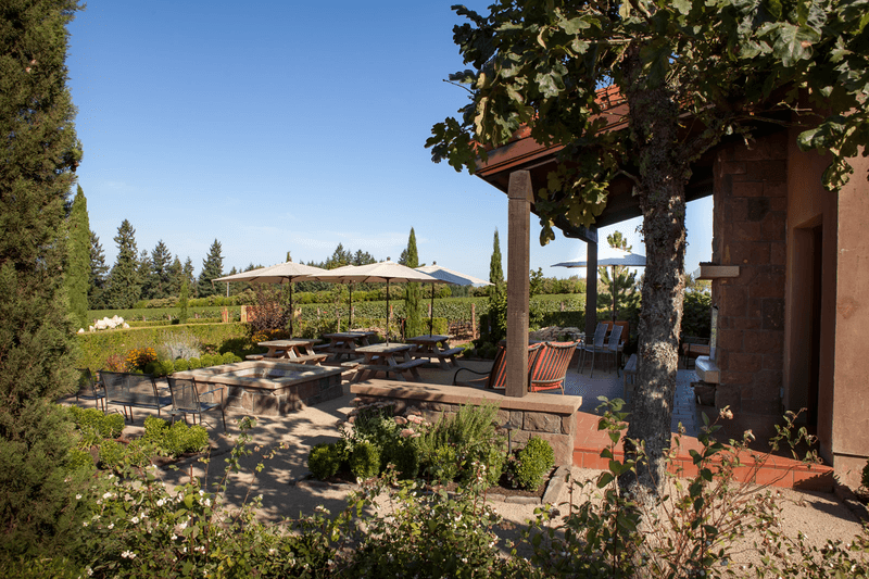 Alloro Vineyard