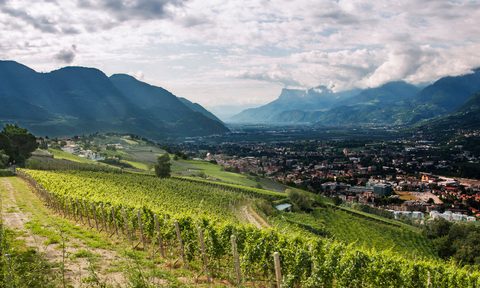 Alto Adige