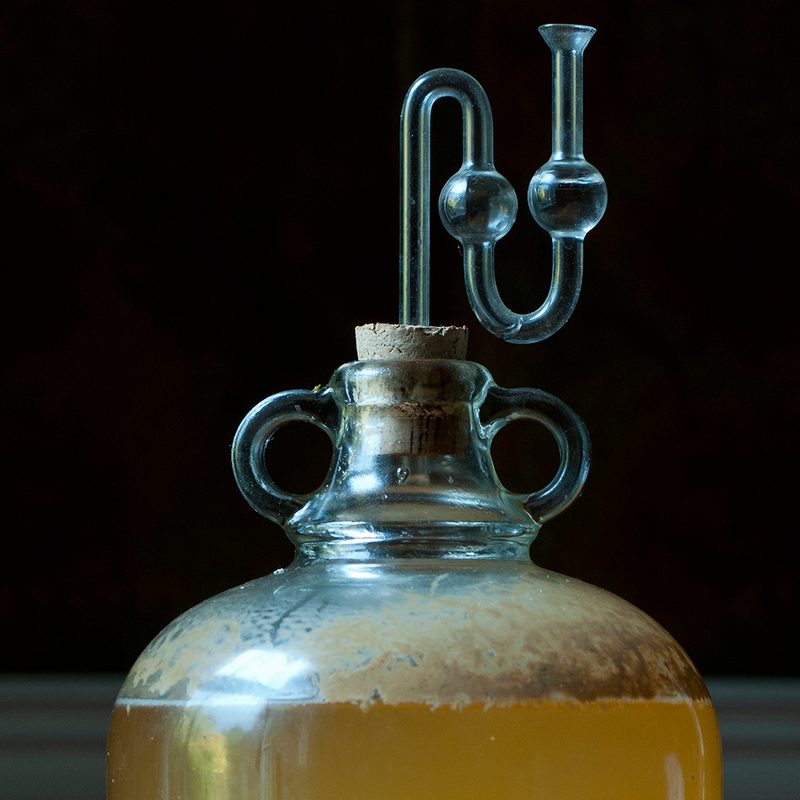 Apple cider demijohn