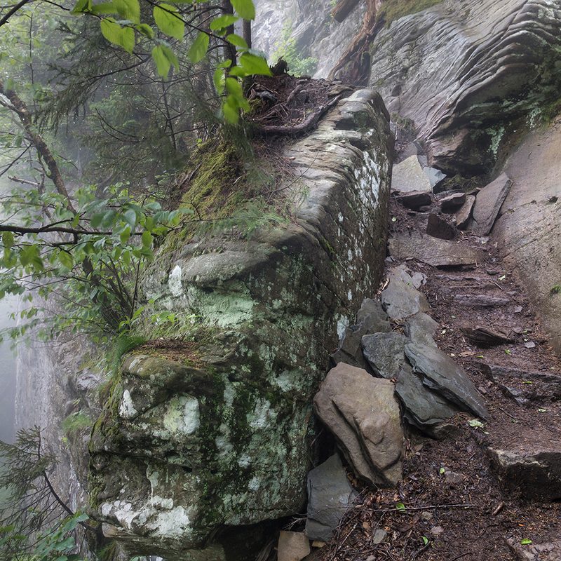Trees and rock formations in the Devil's Path.