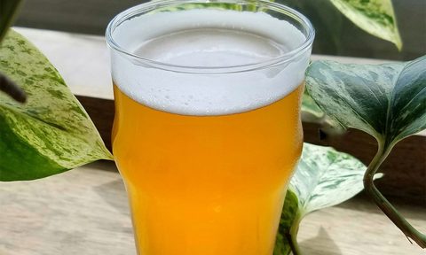 tea beer great lakes sad  green