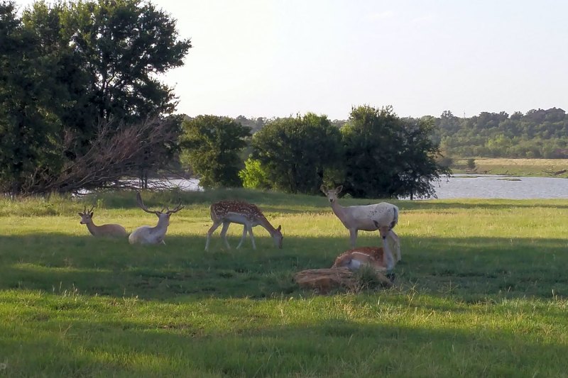 Hidden Lake Safari Ranch and RV Park