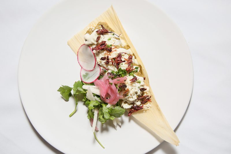 Jackfruit Carnitas Tamales with Chapulines Salsa