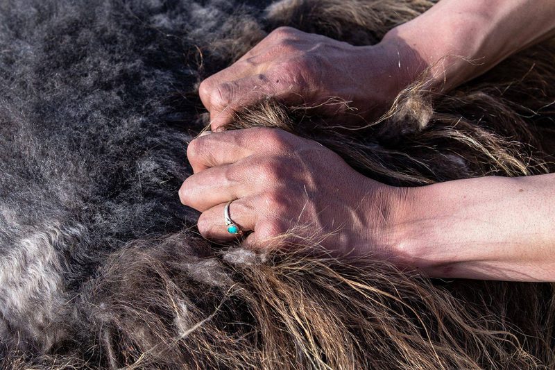 Kora Yak Wool