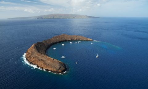 National Hawaiian Humpback Whale Marine Sanctuary