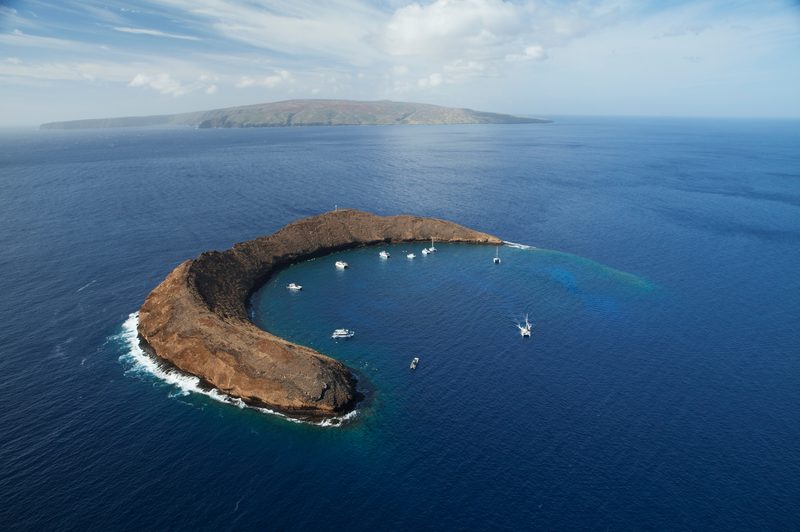 National Hawaiian Humpback Whale Marine Sanctuary