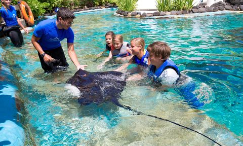 sea life park attraction