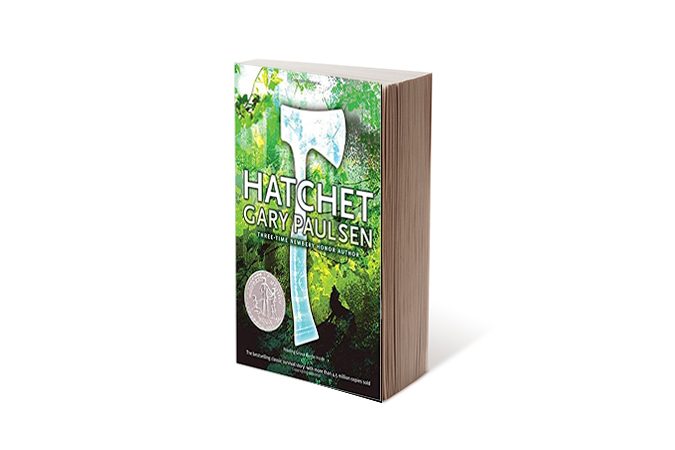 The Hatchet by Gary Paulsen