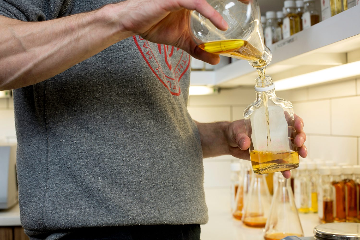 Westland Distillery Barley Research Science