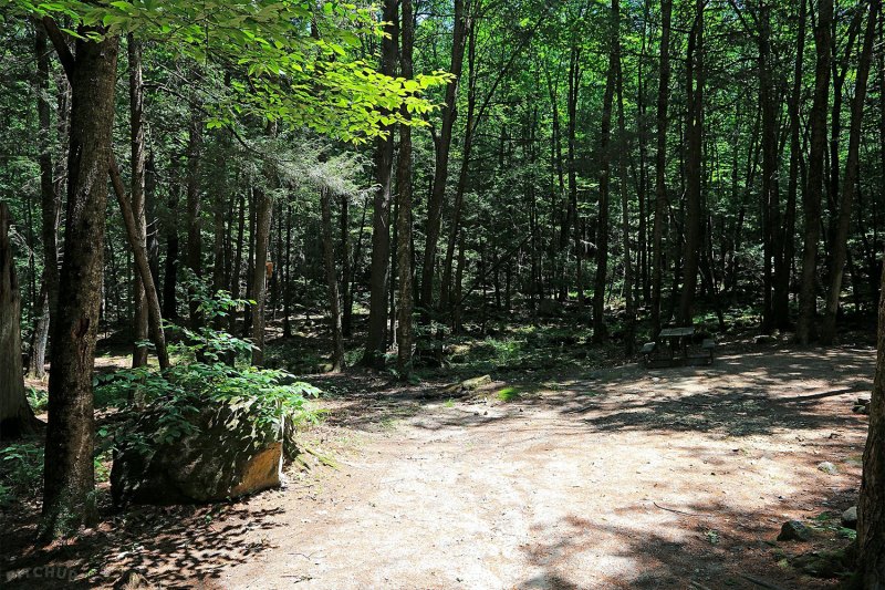 White Pines Campsites
