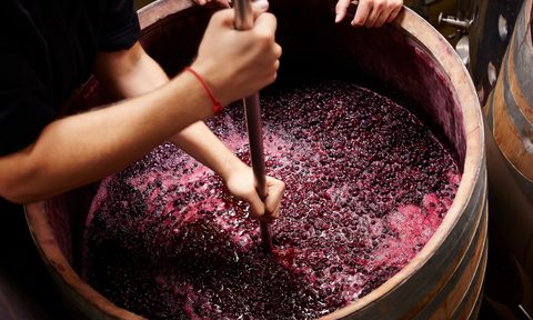 wine making in a barrel