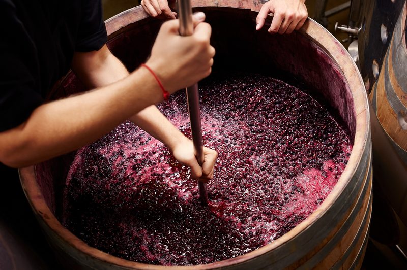 wine making in a barrel