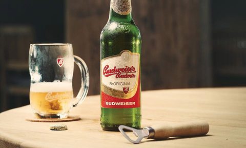 Budweiser Budvar Brewery Bottle