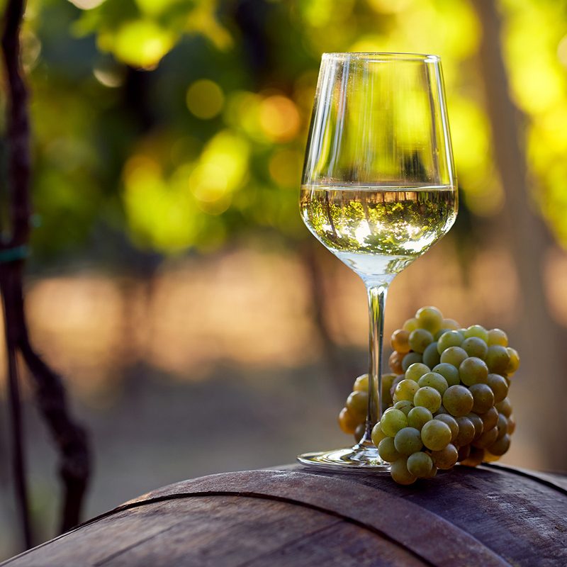 Chardonnay on barrel.