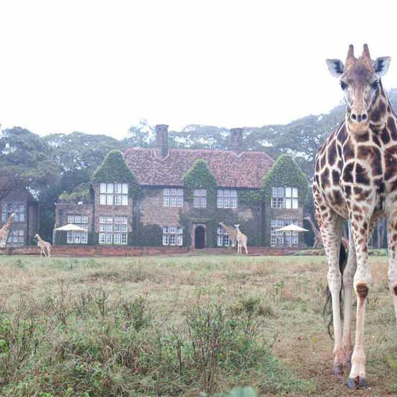 Giraffe Manor